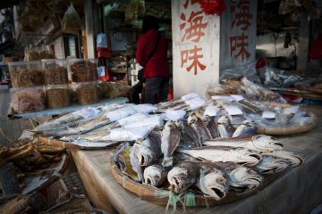 Taiwan, Hongkong, Macao, Dubaj