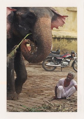 BUBO - 2003 - história - Slon v centre desaťmiliónového mesta? Úplná normálka. Bohužial časy sa menia a vy toto už nezažijete.