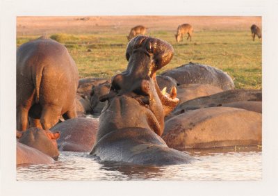 BUBO - 2000 - história - Učíme sa, čo je Afrika. Naším učiteľom je geodet Jozef Hušek, ktorý v Gaborone žije už 15 rokov.