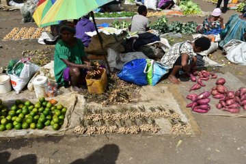 Papua Nová Guinea a relax pri papuánskych fjordoch