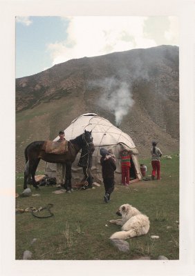 BUBO - 2005 - história - Jeden z koní, na ktorom sme prišli do našej jurty v horách centrálneho Kirgizstanu severne od jazera Issyk Kul. Kirgizsko má BUBO zbrázdené krížom krážom, aj tie odľahlé oblasti. Vieme poradiť.