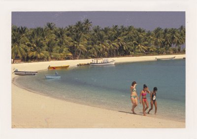 BUBO - 2004 - história - Hľadanie tej najkrajšej pláže je jedným z našich snažení. Francúzska Polynézia? Cookové ostrovy? Maldivy? Cestujeme po celom svete a kúpeme sa na panenských plážach, ktoré nikto nepozná a ešte len na objavenie čakajú.