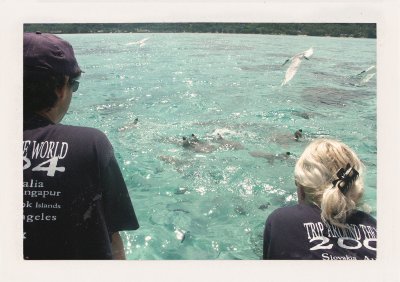 BUBO - 2004 - história - V roku 2004 realizujeme aj naše ďalšie cesty okolo sveta. V BUBO tričkách pozorujeme žraloky na ostrove Moorea vo Francúzskej Polynézii.