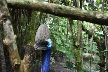 Papua Nová Guinea a relax pri papuánskych fjordoch