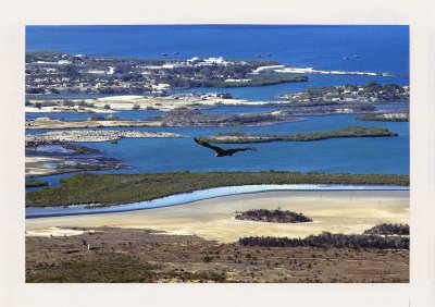 BUBO - 2002 - história - Sup prelieta nad vojenskou základňou USA v Guantanamo. Fotografujeme na BUBO zájazde z Mirrador Malones, ktorý následne zatvorili a tak je tento záber unikátom.