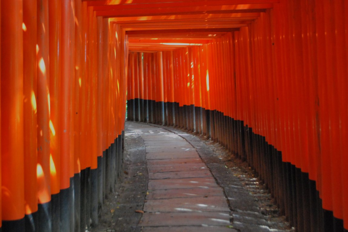Za 12 dní preniknete do duše japonskej civiizácie. Z Tokia do Osaky za históriou, modernou, kultúrou a gurmánskymi zážitkami. Sopka Fudži, srnky v Nare, slávne sochy v Nikkó. Božské Kjóto a moderná Osaka.