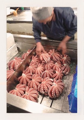 BUBO - 2004 - história - O piatej ráno ideme na trh Tsukidži v centre Tokya. Aukcia tuniakov, sépie, chobotnice, najlepšie suši na svete. Hľadanie najlepších vecí na našej planéte je to, čo BUBO zaujíma.