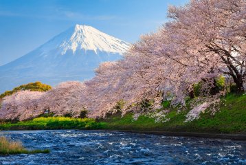 Zlatá cesta Japonskom a relax na Guame