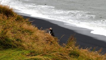 Island aktívne - expedícia v stanoch