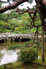 Japonsko a Havajské ostrovy