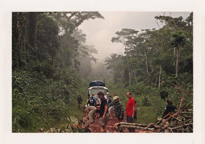 BUBO - 2009 - história - Na ceste juhovýchodným Kamerunom nám červenú hlinenú cestu zahatal padnutý strom. Príde cestná údržba, požiarnici? Ak chceme ísť ďalej musíme ho odstrániť my. Takto sa v BUBO budujú vzťahy a priateľstvá. Keď  musíte, stane sa to.
