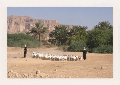 BUBO - 2007 - história - Jemenské pastierky s úžasnými klobúkmi, ktoré v tom horku zachytávajú každý vánok a chladia hlavu.