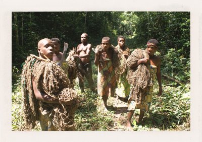 BUBO - 2009 - história - Bývame s Pygmejmi, lovíme s Pygmejmi. Deti džungle nás uchvátia. Zažívame niečo, čo sa z našej Zeme nenávratne stráca. Táto fotografia je zo Stredoafrickej republiky a ide o lovenie do sietí, ktoré sa v džungli naťahajú medzi stromami.