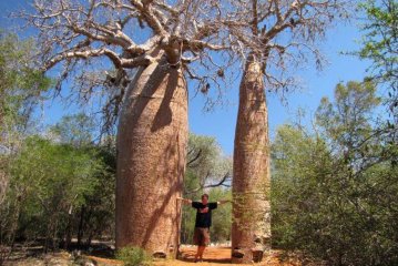 JAR, Lesotho, eSwatini a Madagaskar