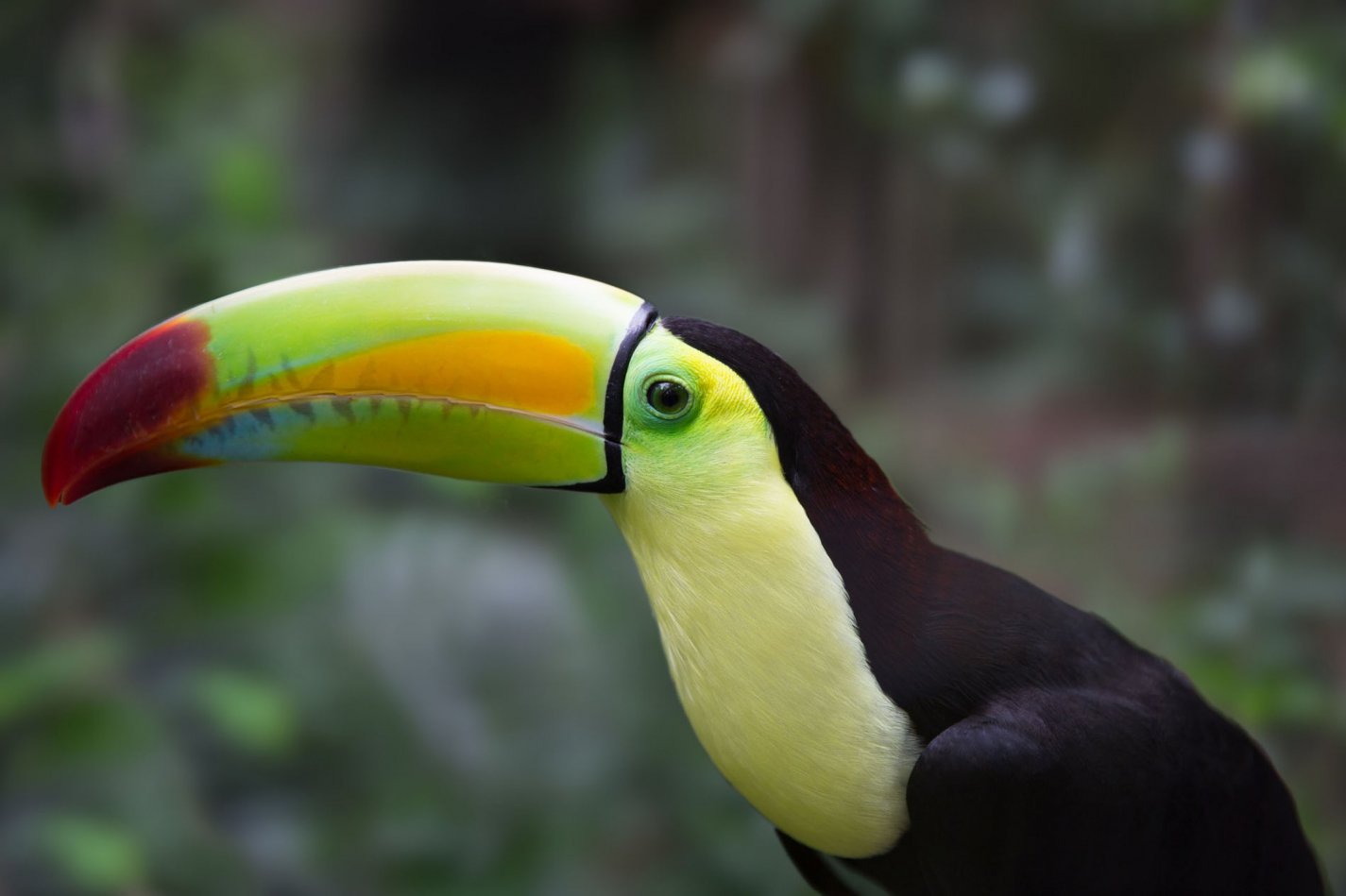 Belize