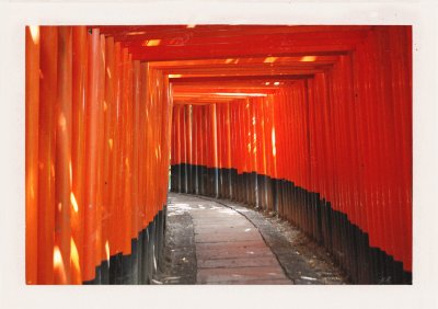 BUBO - 2004 - história - Brány torii vedúce k svätyni Fushimi Inari Taisha. Navštevujeme už od prvej cesty. Japonsko v BUBO podaní je omnoho komfortnejšie zamerané na zážitky. Čoskoro sa stávame najväčším predajcom tejto krajiny v SR.