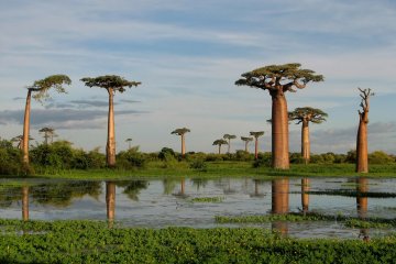 Madagaskar veľký okruh