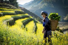 Totálny Vietnam