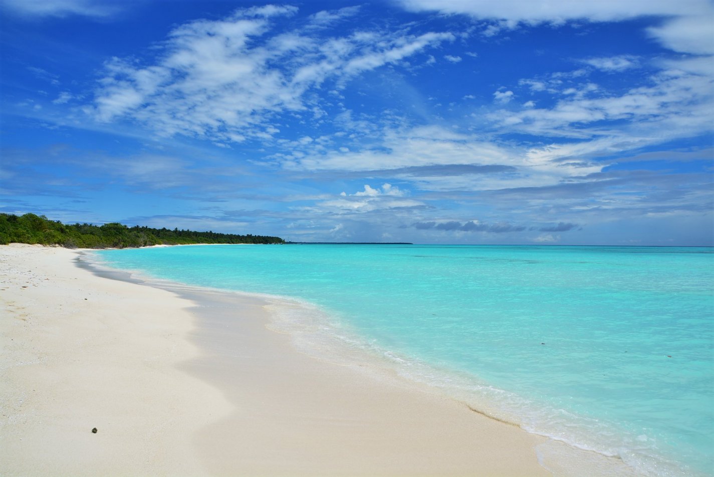 Maldivy