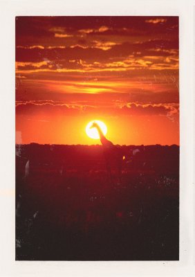 BUBO - 2000 - história - Nad Kalahari zapadá slnko, foto Ľ. Fellner na diapozitív.