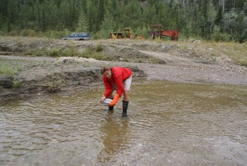 Aljaška, Yukon - volanie divočiny