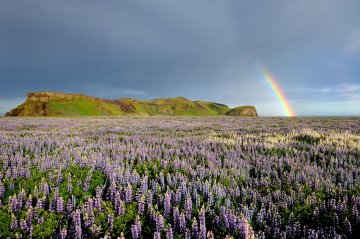 Island aktívne - expedícia v stanoch