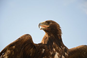 Irkutsk, Bajkal, Mongolsko