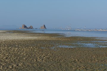 Africký roh