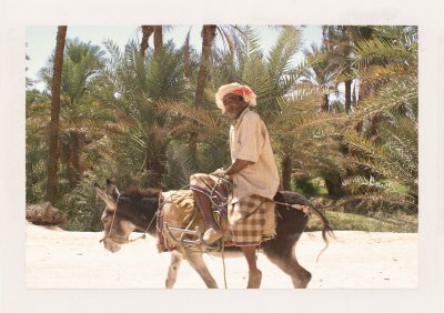 BUBO - 2007 - história - Za čias Šalamúna bol Jemen a južný Omán omnoho bližšie a je logické to spojiť, hovoríme si študujúc Bibliu a atlas sveta. Problémom je, že južný Jemen od južného Ománu neoddeľuje iba nepriechodná púšť, ale nastolovaný  politický antagonizmus.