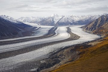 Aljaška, Yukon - volanie divočiny
