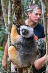 Madagaskar veľký okruh