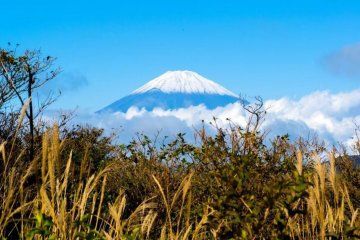 Zlatá cesta Japonskom a relax na Guame