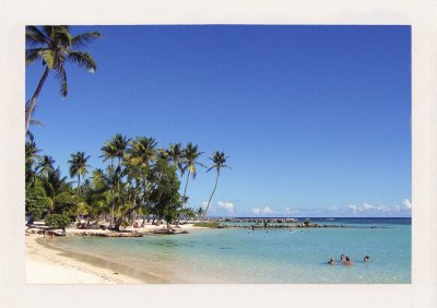 BUBO - 2006 - história - Od tohoto roku si budujeme know-how v Karibiku a rok po roku si odkrajujeme ostrovček po ostrovčeku.