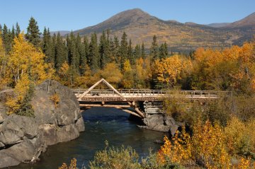 Aljaška, Yukon - volanie divočiny
