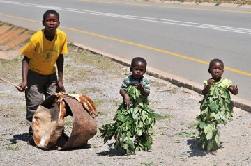 JAR, Lesotho, eSwatini a Madagaskar