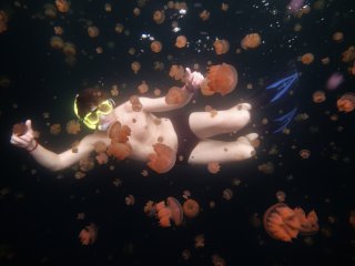 Zlatá cesta Japonskom a relax na Palau
