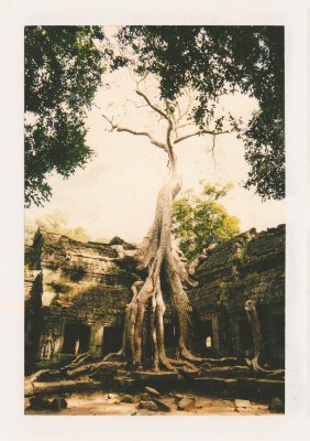 BUBO - 2001 - história - Naše prvé fotografie Angkoru. Keď ideme po zemi do Bangkoku, zastavujú nás Červení Kméri a chcú za prechod ich územia výpalné.