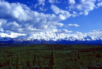 Aljaška, Yukon - volanie divočiny