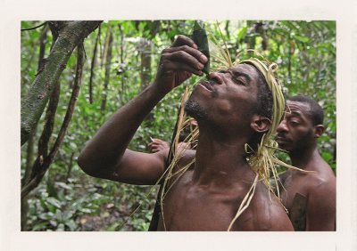 BUBO - 2009 - história - Od Pygmejov sa učíme aj ich domorodú medicínu. Keď títo malí ľudia vôjdu do džungle, narastú. Usmievajú sa, v behu chytia antilopu do rúk, sú tu ako doma. Nám GPS medzi stromami nefunguje, no oni presne vedia kde sú.