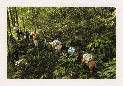 BUBO - 1999 - história - Krížom od Tichého oceánu k Atlantiku. Cesta snov. Na ambasáde Brazílie sme strávili desiatky hodín prosením, aby nám udelili víza.