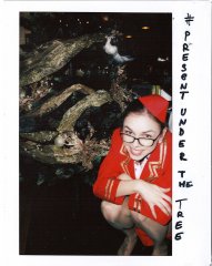 BUBO dovolenky a poznávacie zájazdy