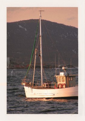 BUBO - 1993 - história - Loďou s konzervami a plesnivým chlebom z domu. Nemáme peniaze, aby sme si kupovali drahý chlieb v potravinách. U nás stojí liter mlieka 8 centov a pivo 15. Ľuboš ako lekár na Kramároch zarába menej než 100 Euro/mesačne.
