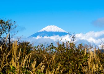 Zlatá cesta Japonskom a relax na Palau