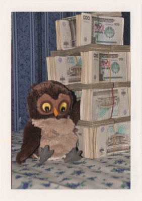 BUBO - 2006 - história - Bubo bubo = sova a tá je symbolom poznania a filozofie. A múdri ľudia sú bohatí. Aspoň keď si vymeníte svoje peniaze za domácu menu...