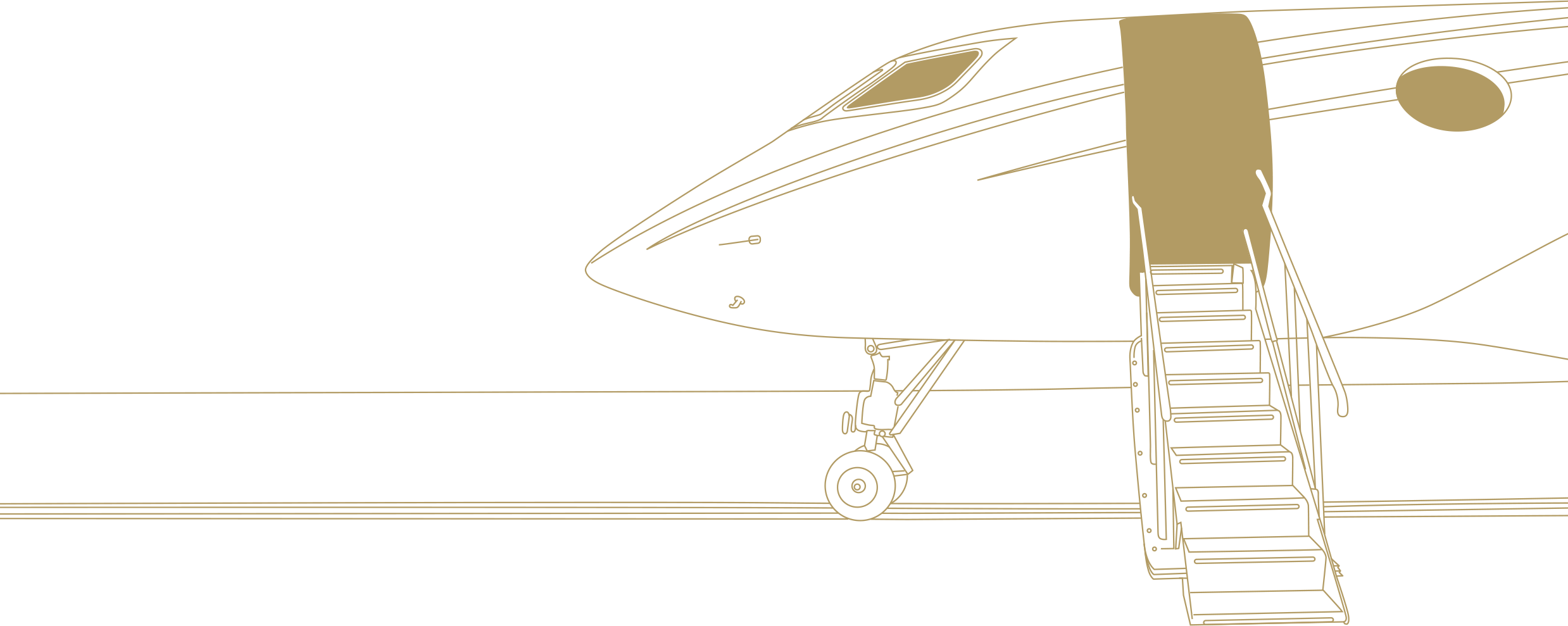 private jet