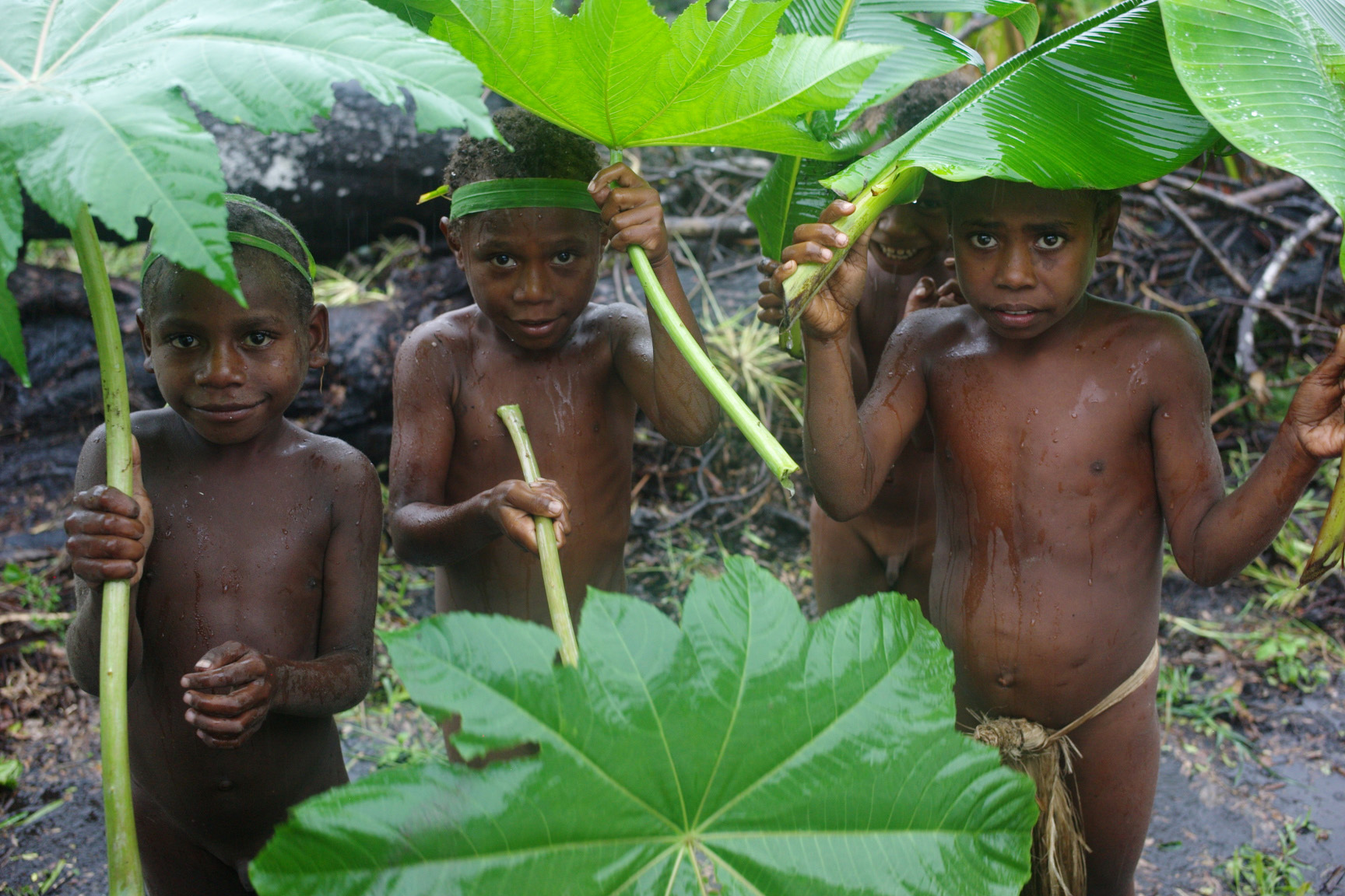 Dáždniky na Vanuatu, foto L. Fellner