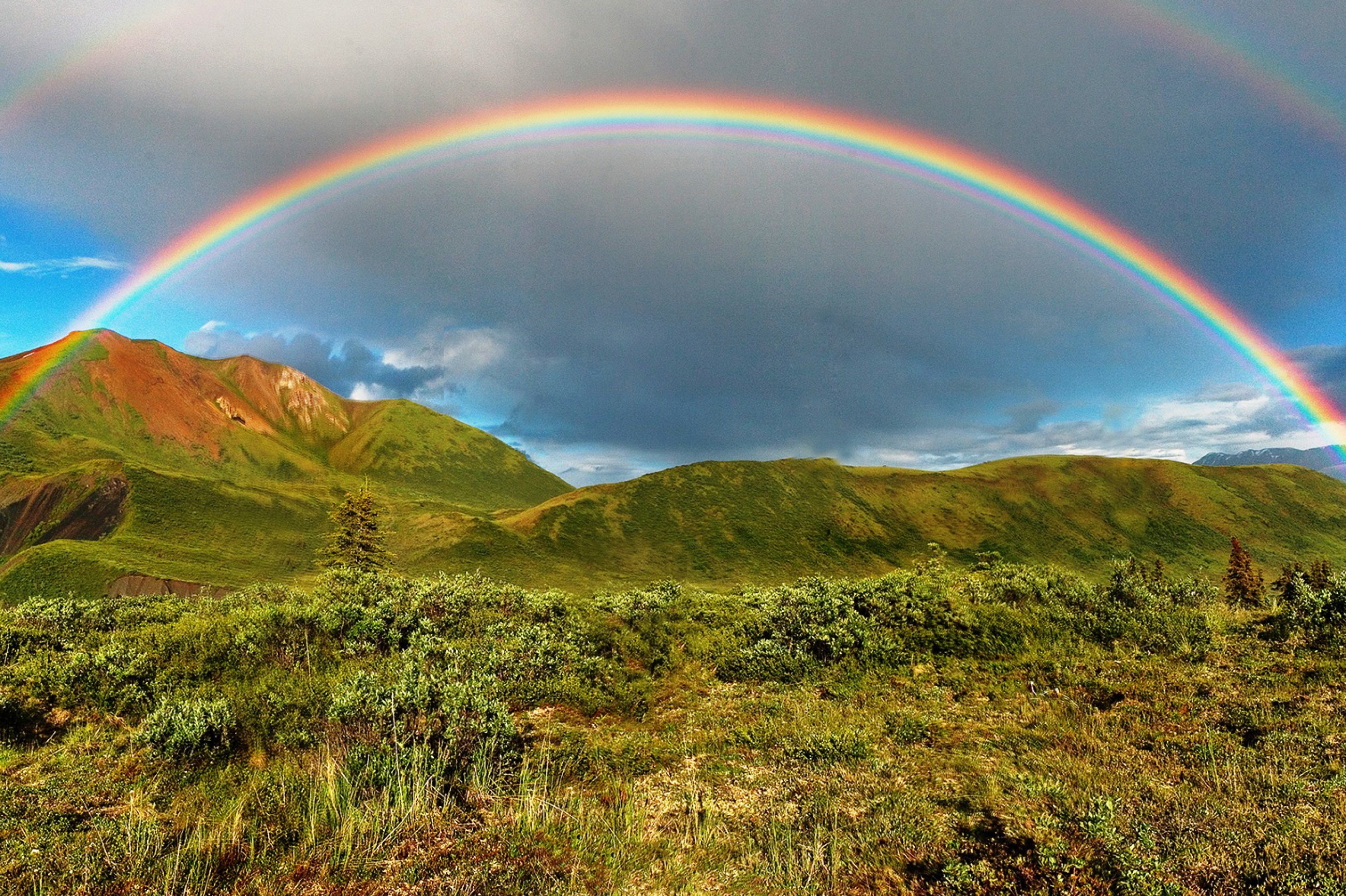 https://bubo.sk/uploads/galleries/16048/double-alaskan-rainbow-airbrushed.jpg