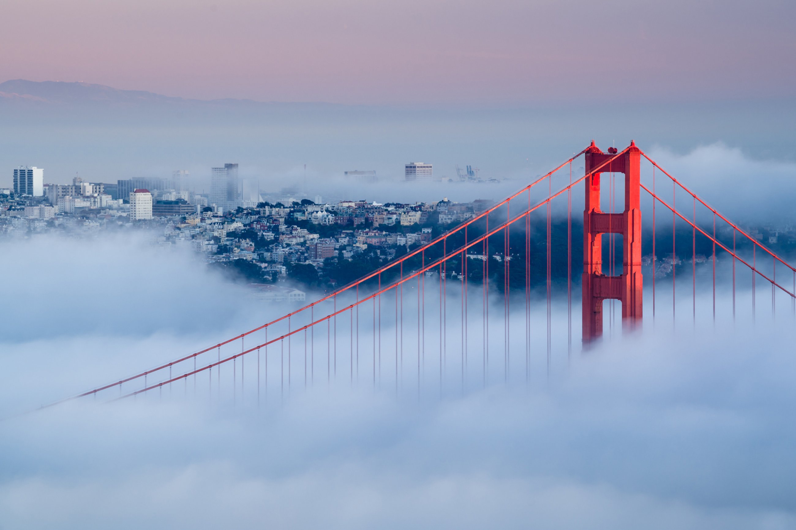 https://bubo.sk/uploads/galleries/4998/sf-san-francisco-golden-gate-at-dawn-surrounded-by-fog.jpg