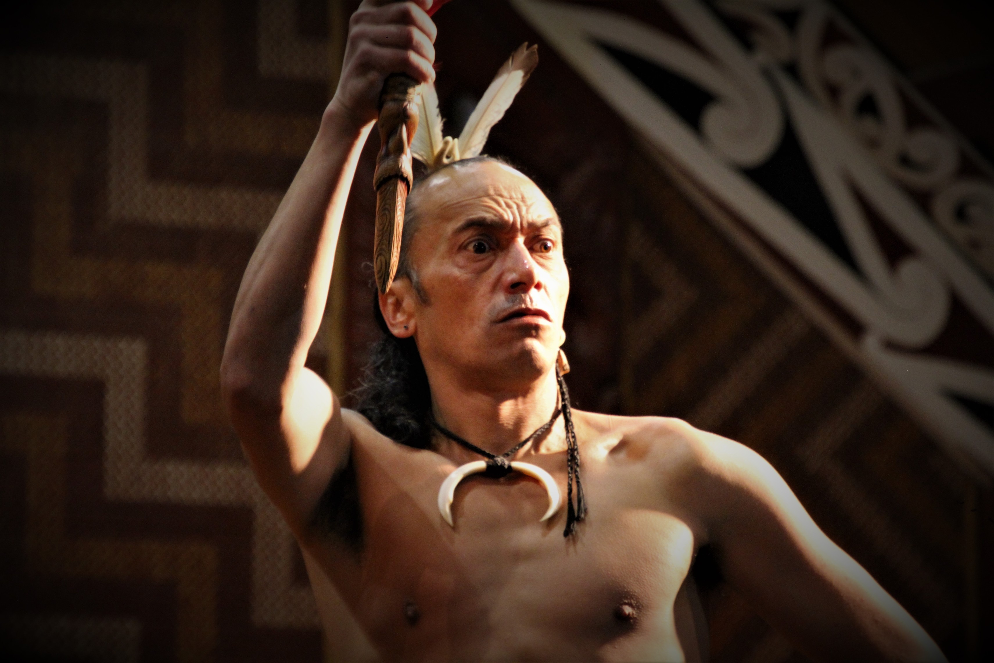 https://bubo.sk/uploads/galleries/5025/marekmeluch_novyzeland_maori-warrior-in-te-puia.jpg