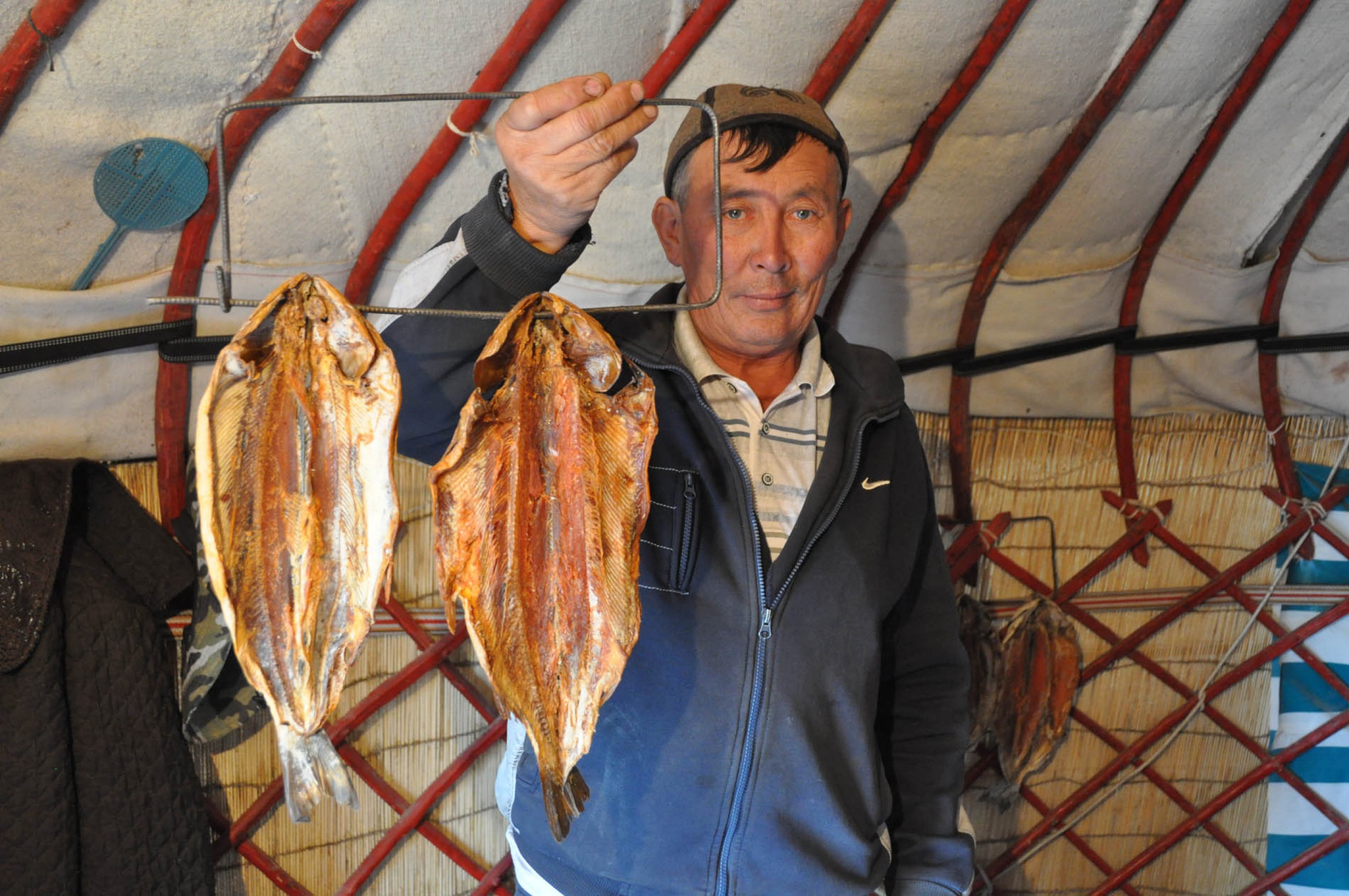 https://bubo.sk/uploads/galleries/7334/kirgizsko-tomas-kubus-2015-1-.jpg